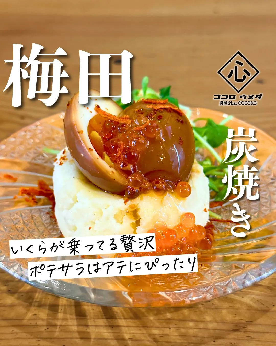 海鮮や炭焼き鳥など創作料理が充実しています！