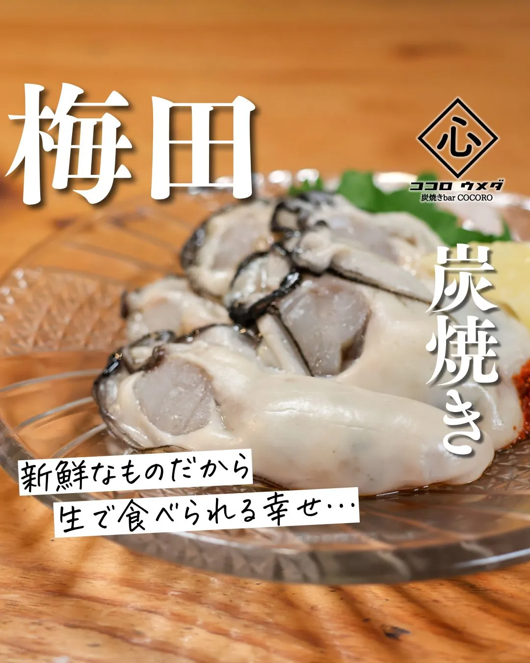 海鮮や炭焼き鳥など創作料理が充実しています！