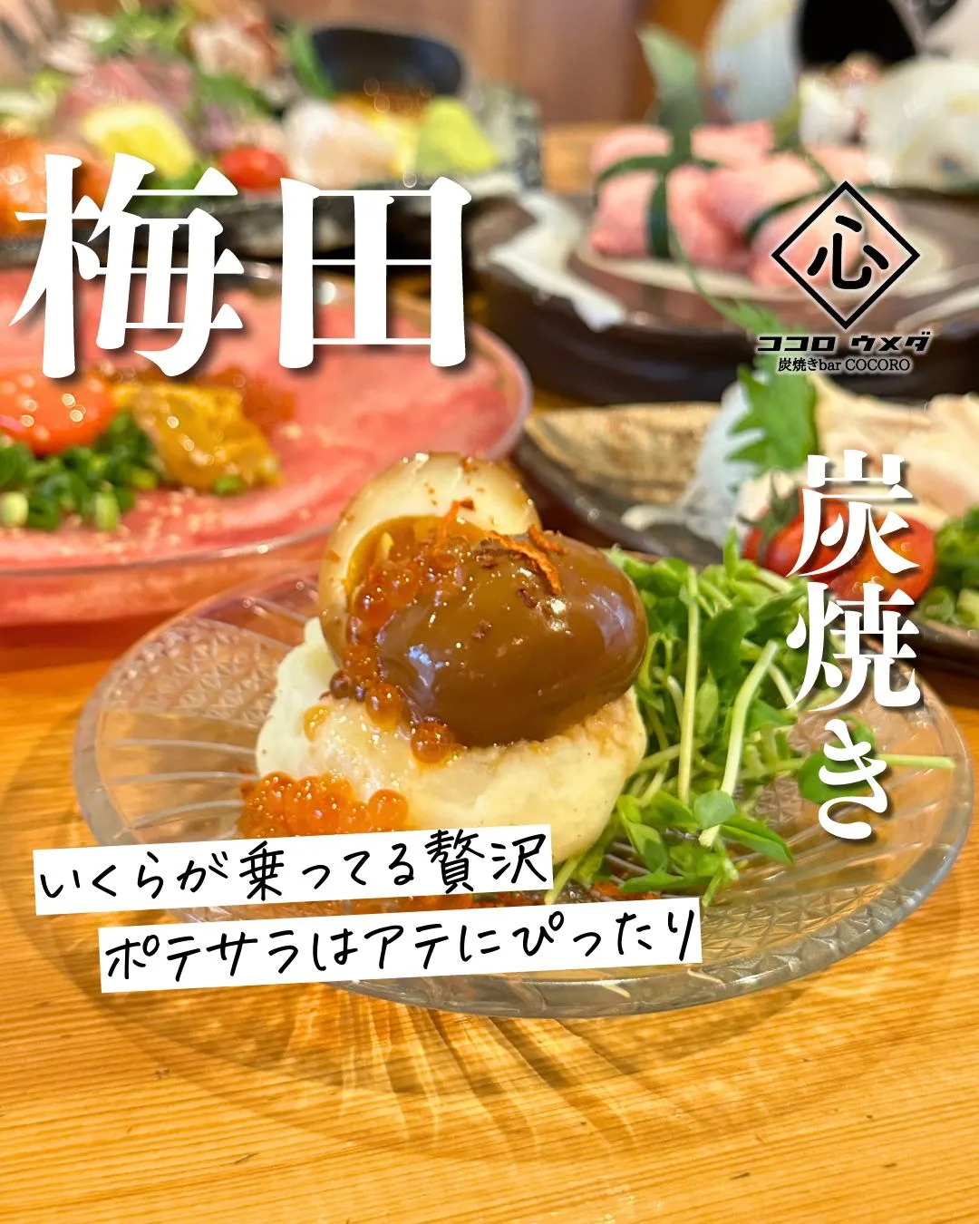 海鮮や炭焼き鳥など創作料理が充実しています！