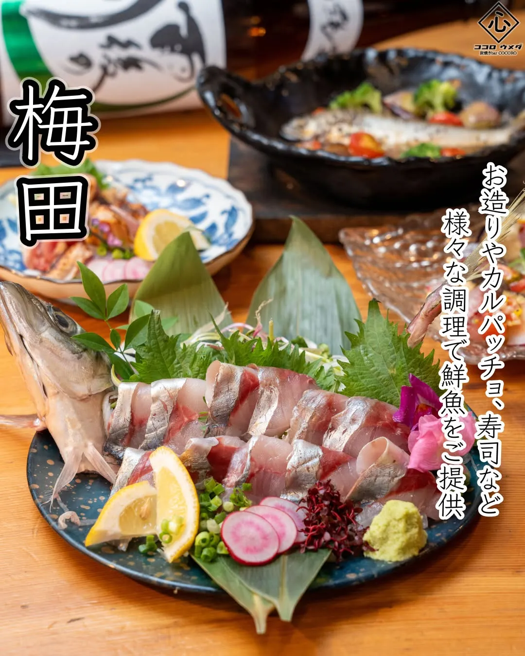 海鮮や炭焼き鳥など創作料理が充実しています!