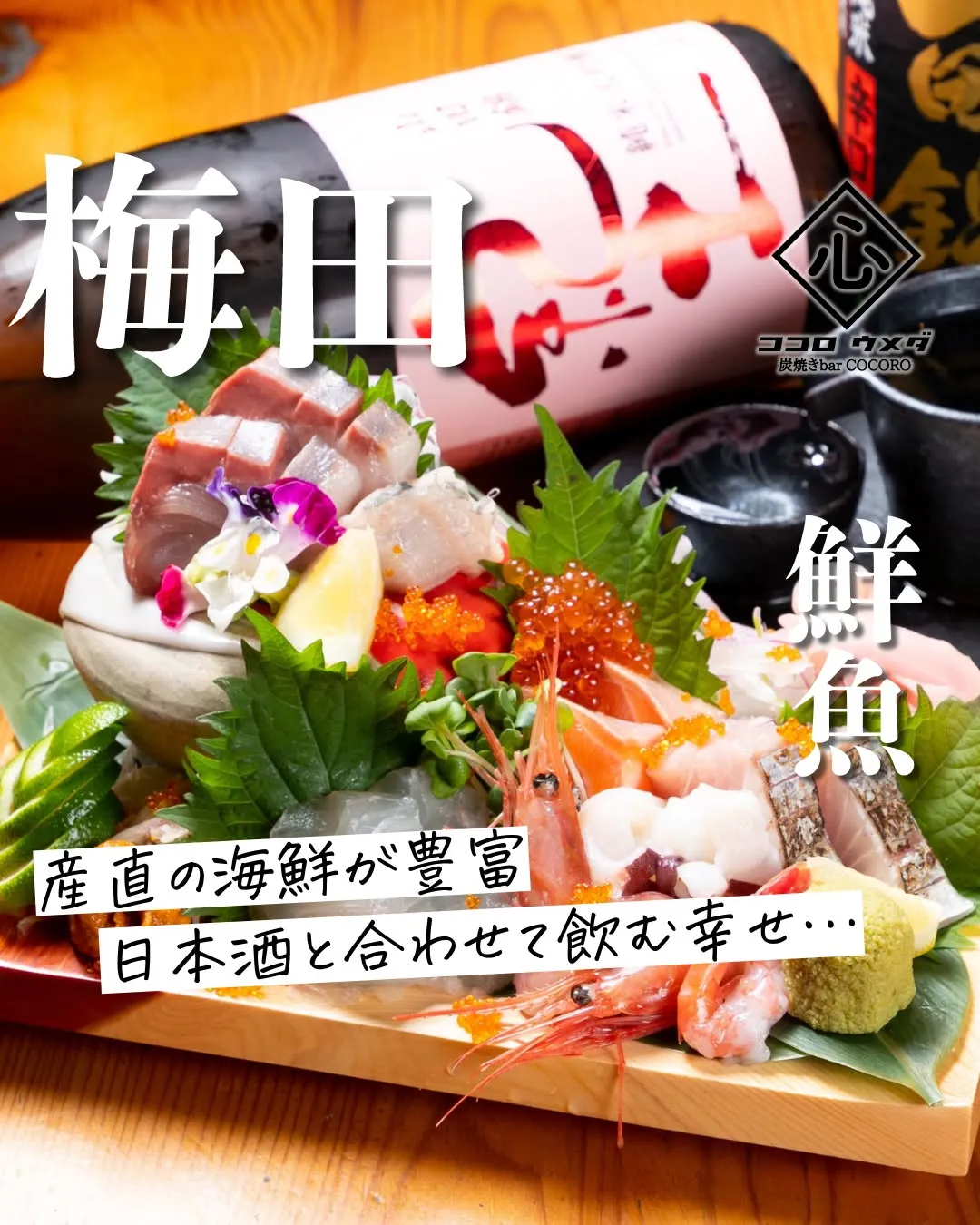 海鮮や炭焼き鳥など創作料理が充実しています！