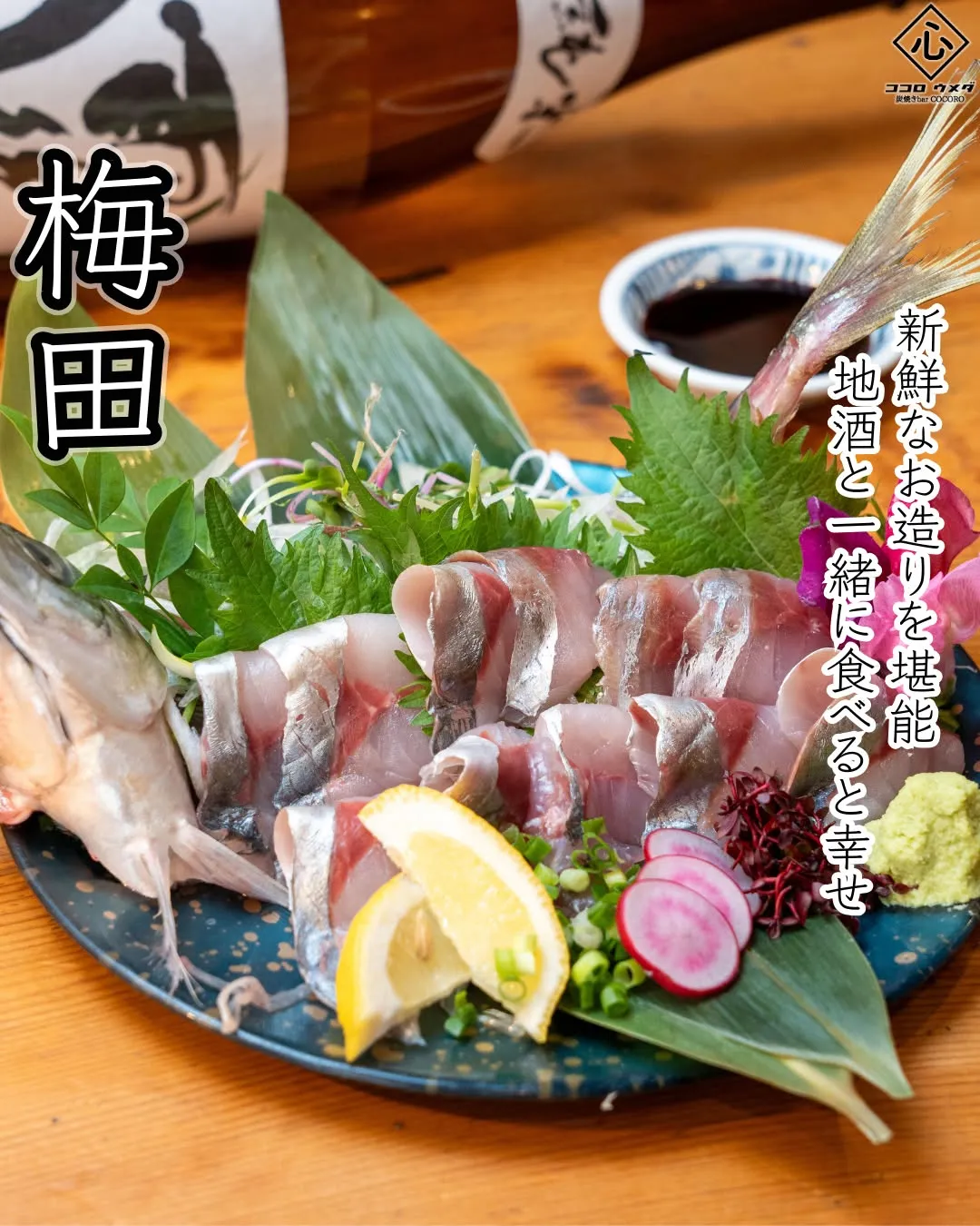新鮮なお造りをゆっくり堪能できるのも、