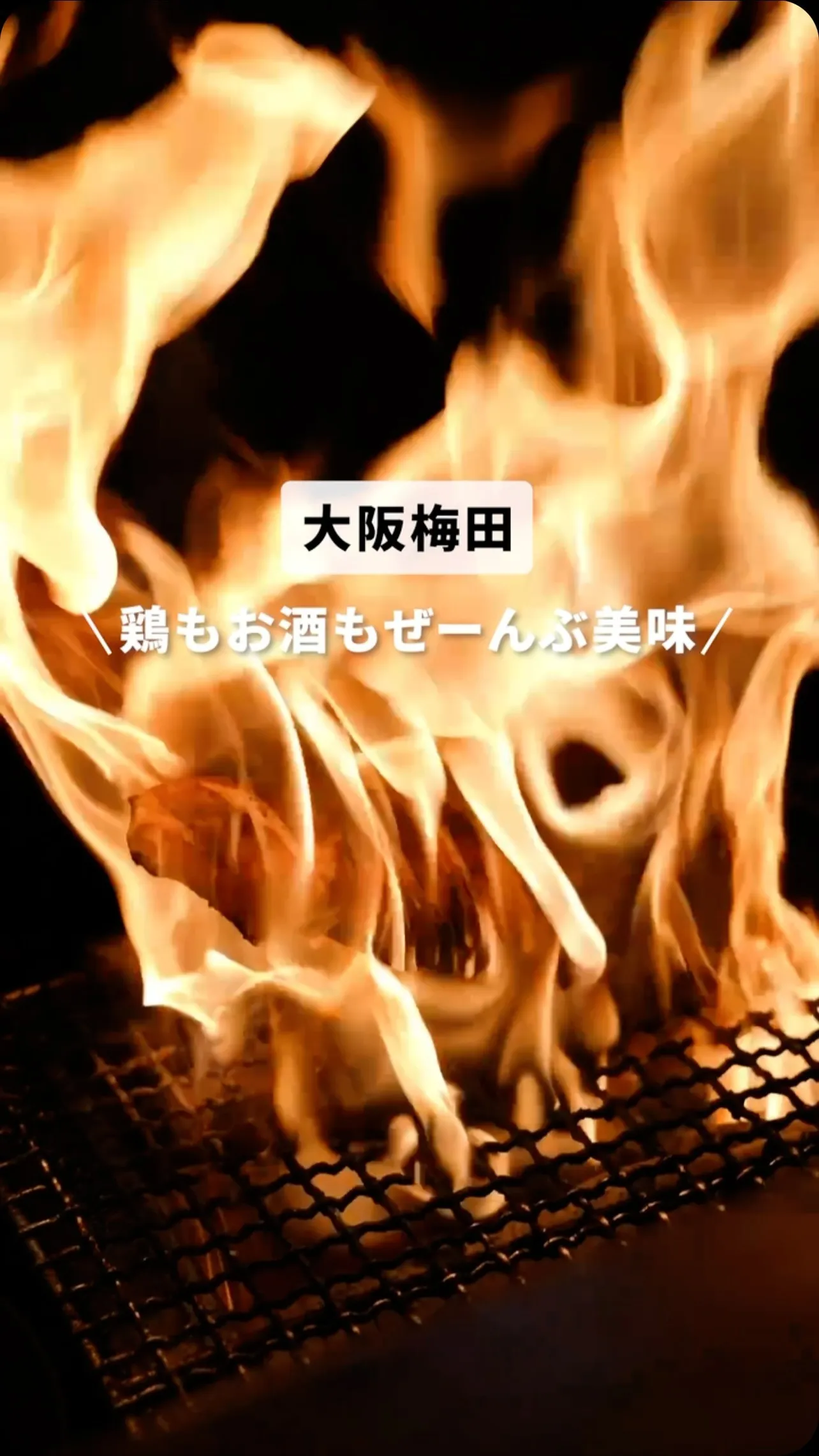 海鮮や炭焼き鳥など創作料理が充実しています！