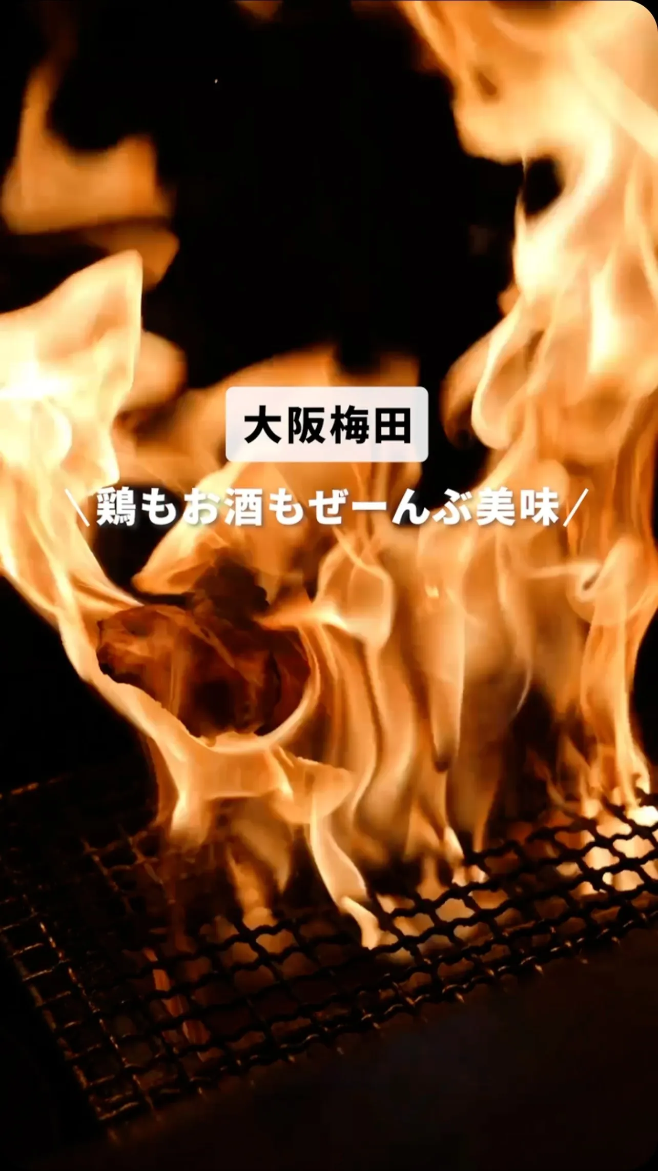 海鮮や炭焼き鳥など創作料理が充実しています！