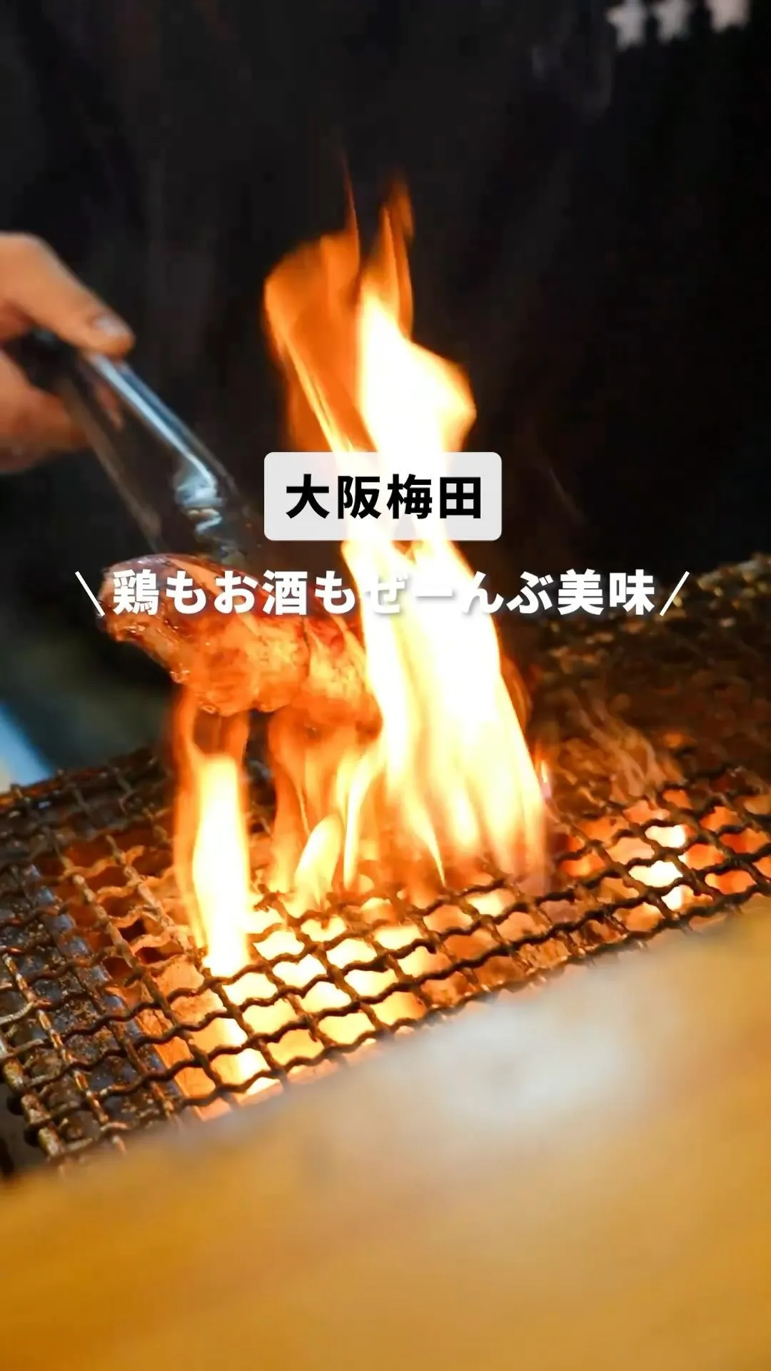 海鮮や炭焼き鳥など創作料理が充実しています！